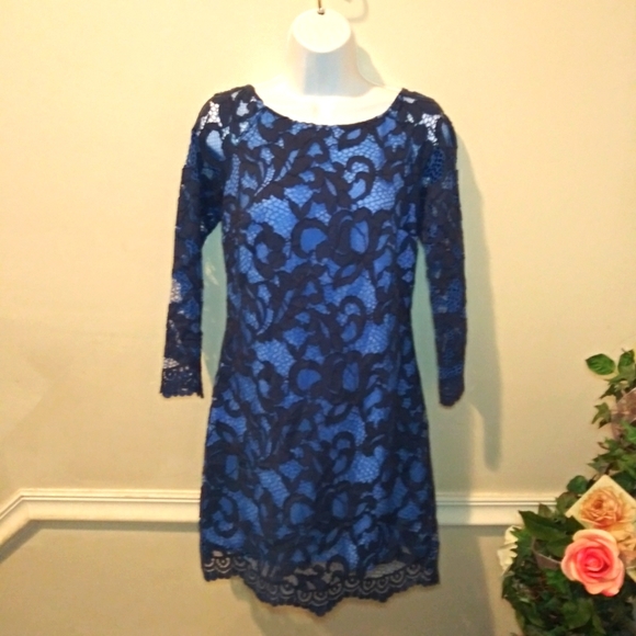 Lilly Pulitzer Aaliyah Two-Tone Blue Romantic Corded Lace Dress - Picture 3 of 14